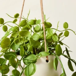 31" Faux Button Fern Hanging Plant - Hearth & Hand™ With Magnolia -Hearth & Hand with Magnolia GUEST a038b521 4b8c 4c09 be4b b801ccd0a0e4