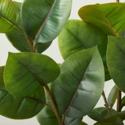 73" Faux Rubber Leaf Tree - Hearth & Hand™ With Magnolia -Hearth & Hand with Magnolia GUEST ba2dac9f 6b7d 4918 9626 46c071b77ecf