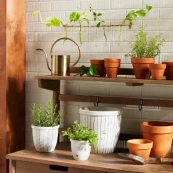 Hearth & Hand with Magnolia 9 9pc Steel & Glass Plant Propagation Set Gold/Clear - Hearth & Hand™ With Magnolia